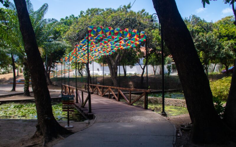 Entre blocos e sabores, Olinda Dá Gosto se firma como ponto gastronômico do Carnaval