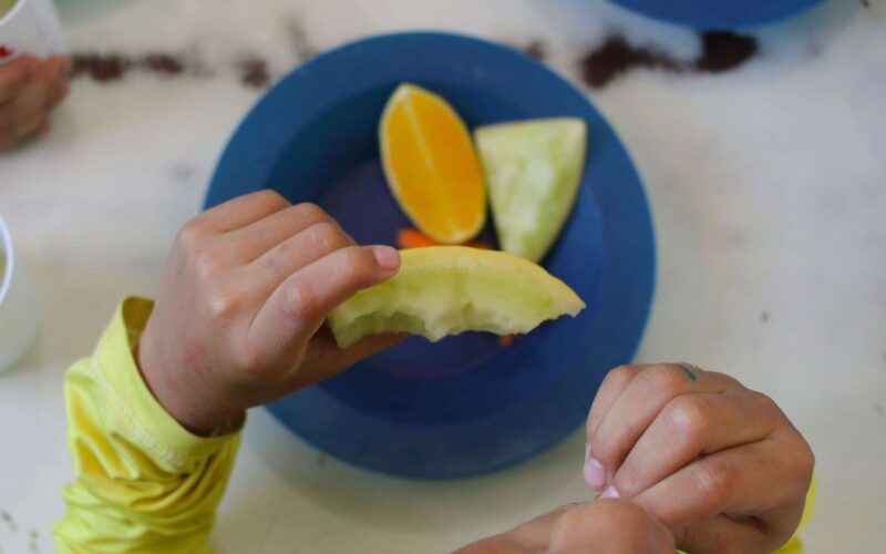 Ceará estabelece regras rigorosas contra alimentos ultraprocessados nas escolas; veja a relação completa
