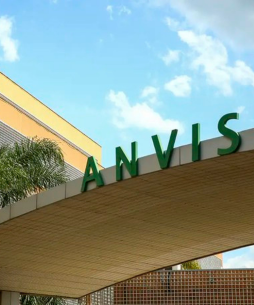 Anvisa suspende a venda de 12 produtos de limpeza não regularizados; veja a lista completa